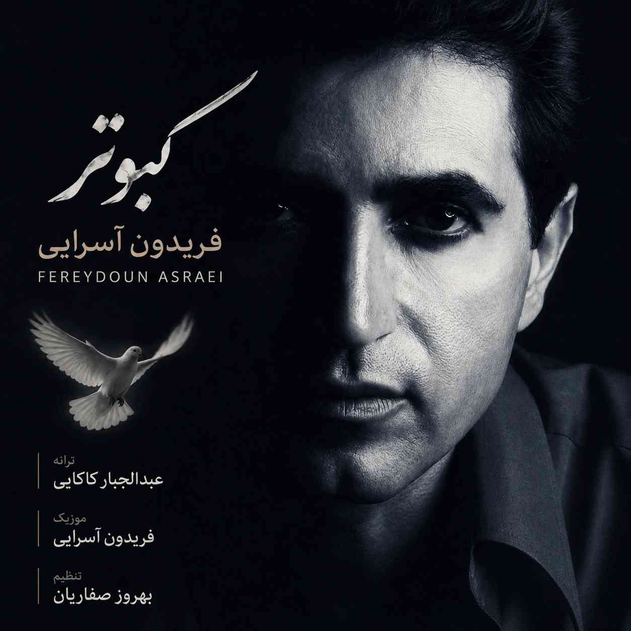 کبوتر