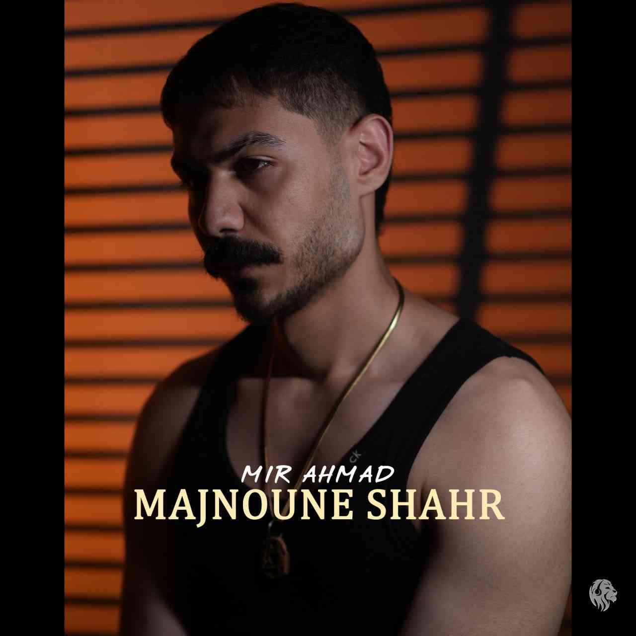 مجنون شهر