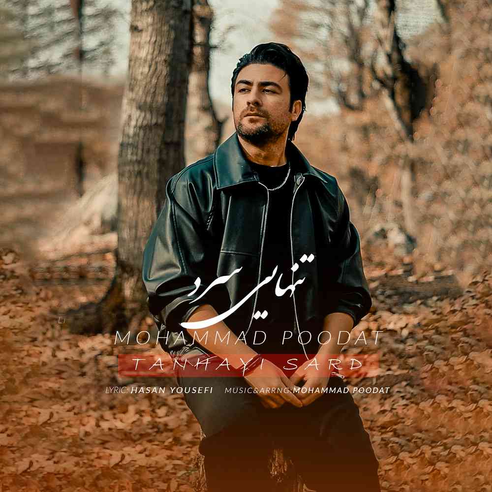 تنهایی سرد
