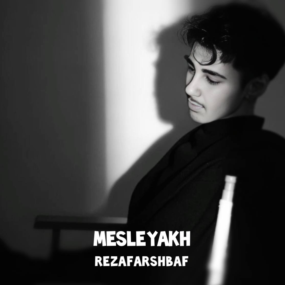 مثل یخ