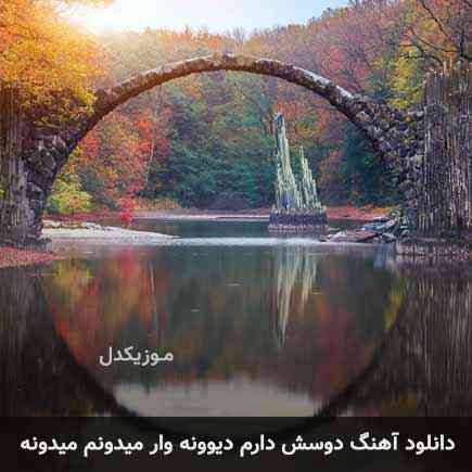 دوستش دارم دیوونه‌وار